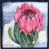 "Pink Protea Vii"