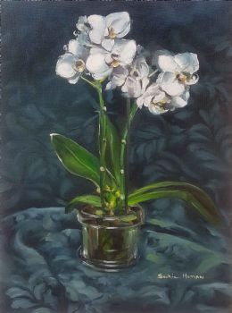 "White Orchid"