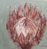 "In The Pink"
