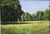 "Late Afternoon Shadows 1"