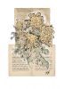 "Latent Vestiges - Spider Chrysanthemum 3"
