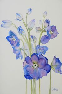 "Birthday Dephiniums"