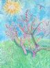 "Blossom Tree in Sunshine"