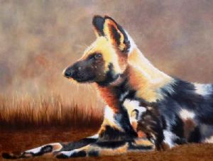 "Wild Dog 1"