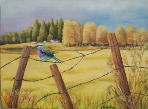 "Bird on the Wire - Midlands"