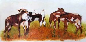 "Four Young Bullocks"