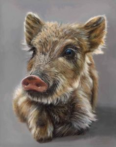 "004 Wild Baby Boar Giclée"