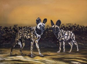 "Wild Dogs "
