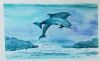 "Dolphin Pair in Original Watercolour"