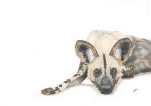 "Painted Dog"