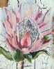 "King Protea"