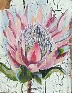 "King Protea"