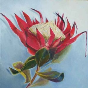 "Marina Protea"