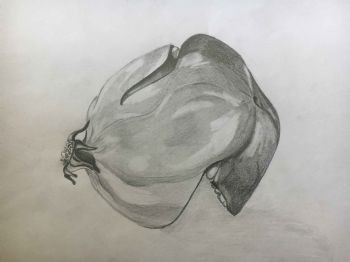 "Pomegranate"