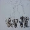 "Elephants on White "