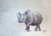 "Rhino with Shadow"