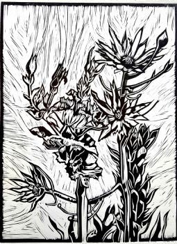 "Fynbos II Lino"