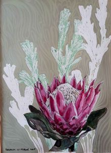 "Protea monotype, 'Fullness'"