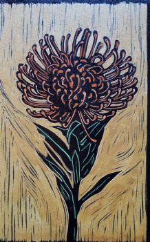 "Finest Crown (Pincushion Flower)"