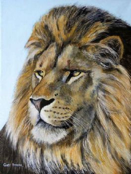 "Lion Portrait"