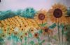 "Sunflower Field"