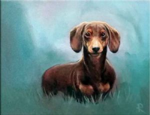 "Dachshund 1"