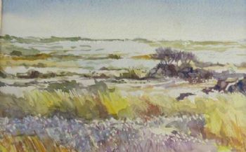 "Cape Grassland Landscape"