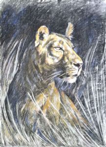 "Night Lioness"