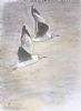 "Pastel Gulls"