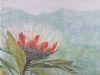 "Protea"