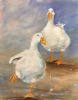 "Noisy Geese RESERVED"