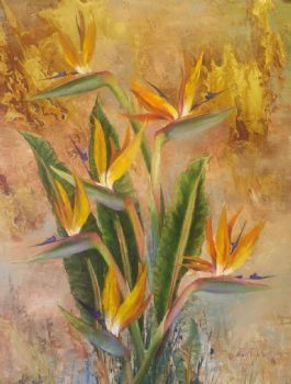 "Strelitzia In Flames Of Gold"