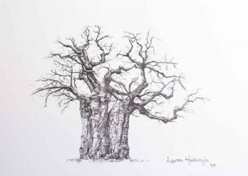 "Baobab Trio (1/3)"