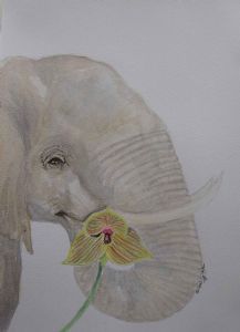 "Nature's Beauty III"