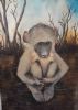 "Baby Baboon Waiting"