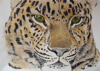 "Emerald Eyes: A Leopard Portrait"