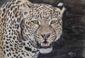 "Leopard of the Night"