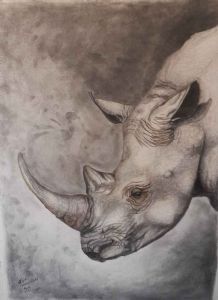 "Rhino Portrait"
