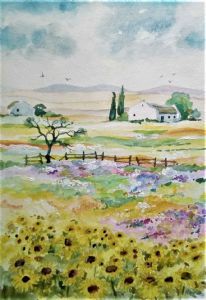 "Namaqualand Flowers"
