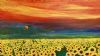 "Sunflower Field"