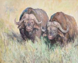 "Buffaloes"