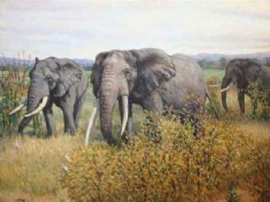 "Elephfants"