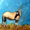 "Dissolving Gemsbok"