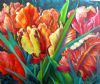 "Rasta Parrot Tulips"
