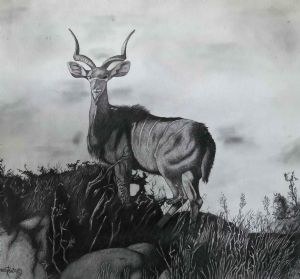"Kudu"