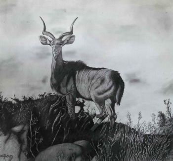 "Kudu"