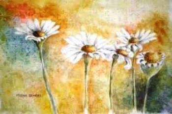 "Veld Daisies on Braille"