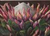 "King Protea"