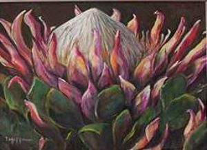 "King Protea"