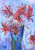 "Coral Tree Flowers"